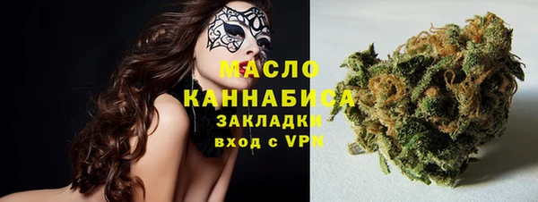 прущие грибы Инсар