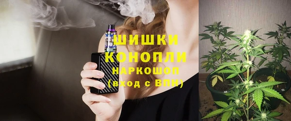 прущая мука Инта