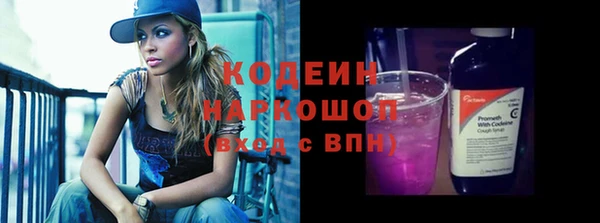прущие грибы Инсар