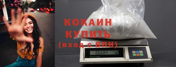 прущие грибы Инсар