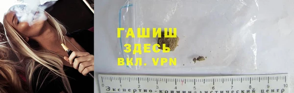 прущие грибы Инсар