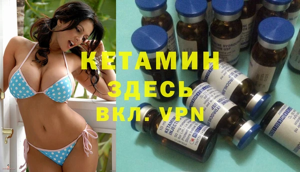 прущие грибы Инсар