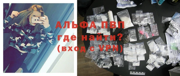 прущие грибы Инсар