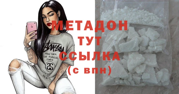 прущие грибы Инсар
