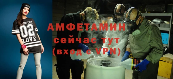 прущие грибы Инсар