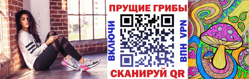 Псилоцибиновые грибы MAGIC MUSHROOMS  Купить где  Ишим 